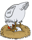 gallina uovo.gif